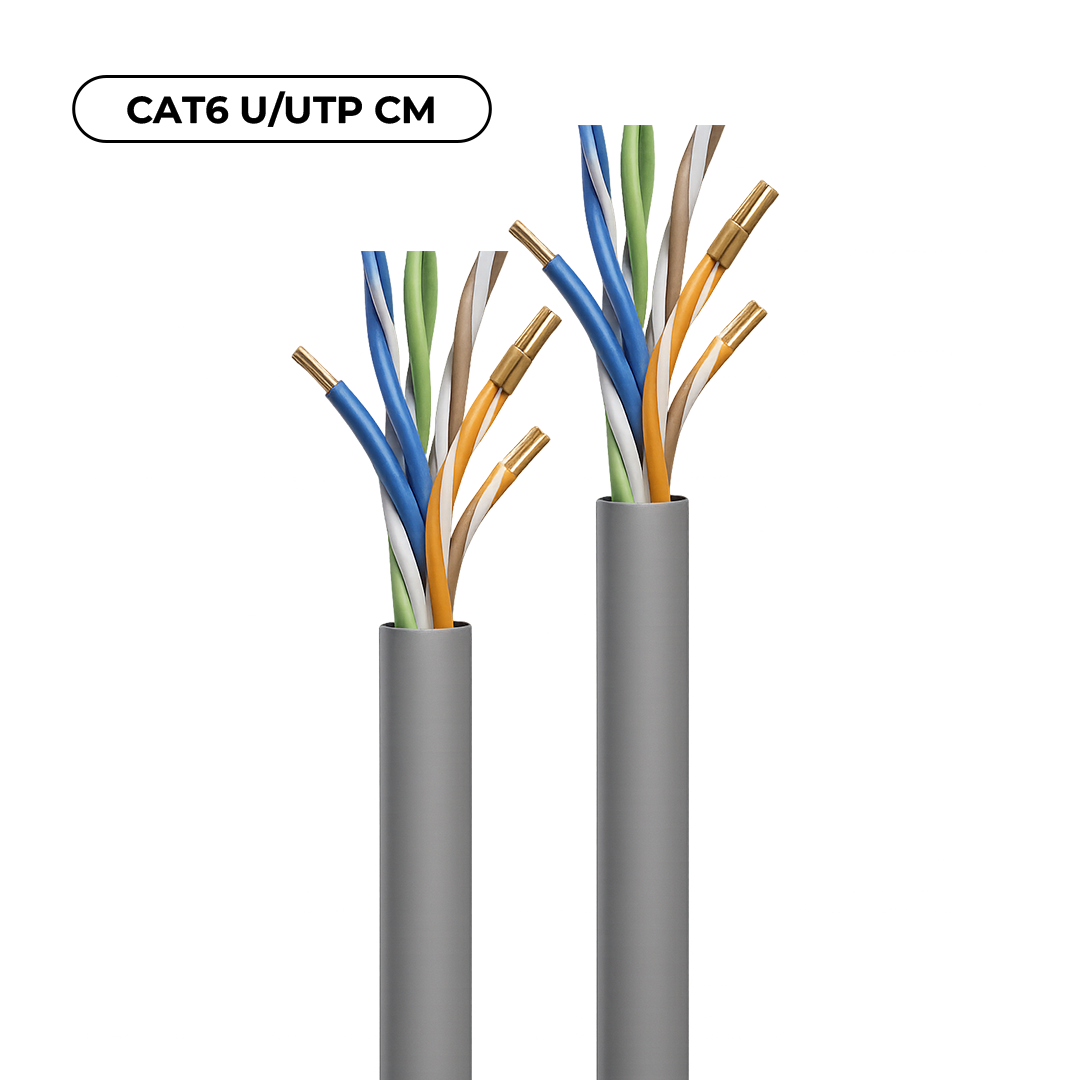 CAT6
